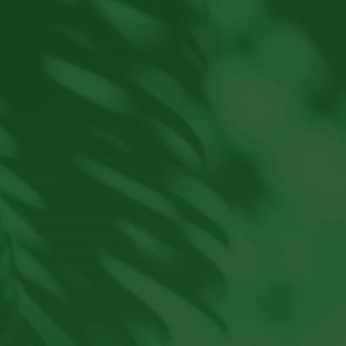 Hanover HANWS0106-NAT - 13