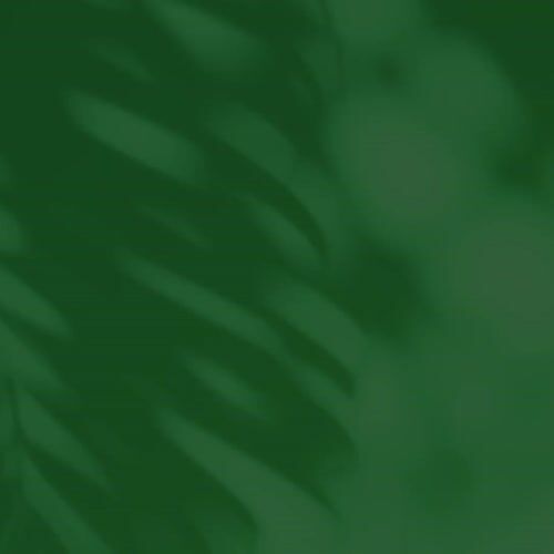 Hanover HVLNR10AR - 10