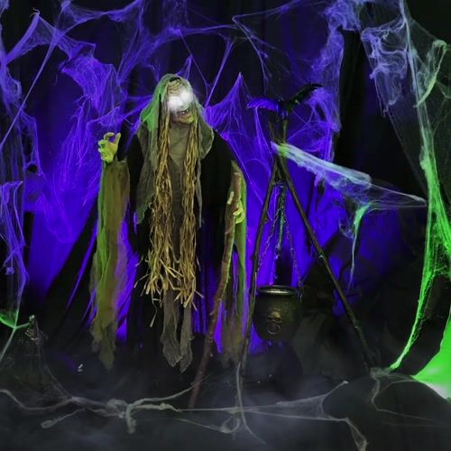 Haunted Hill Farm HHWITCH-10FLSA - 15