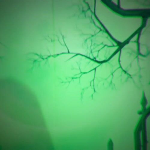 Haunted Hill Farm HHWITCH-45FLSA - 13