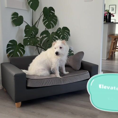 Critter Sitters CSPETBED12-DKGRY - 1