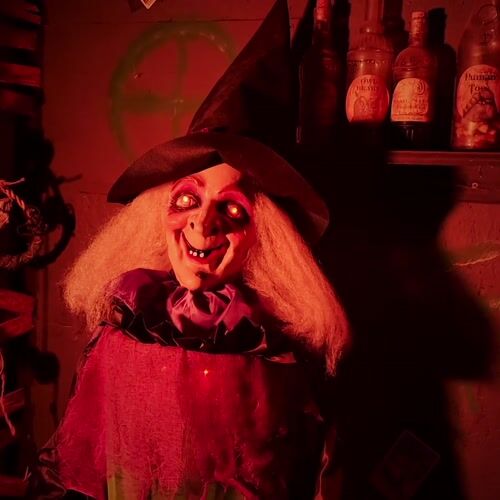 Haunted Hill Farm HHWITCH-51FLSA - 12