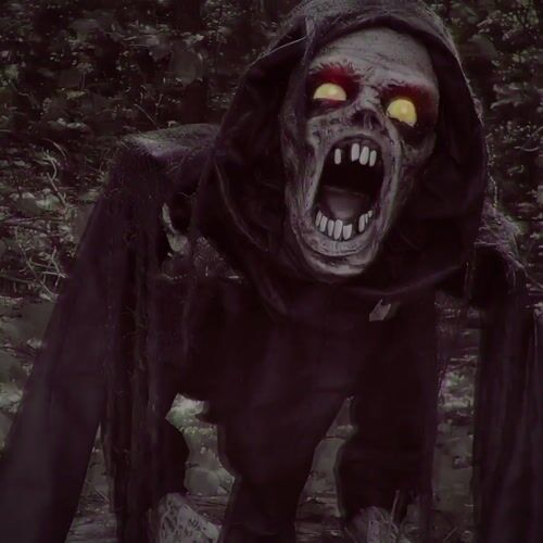 Haunted Hill Farm HHDOG-1FLSA - 13