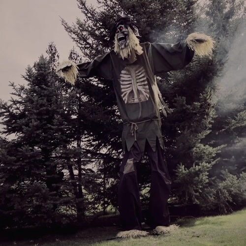 Haunted Hill Farm HHSCR-8FLSA - 12