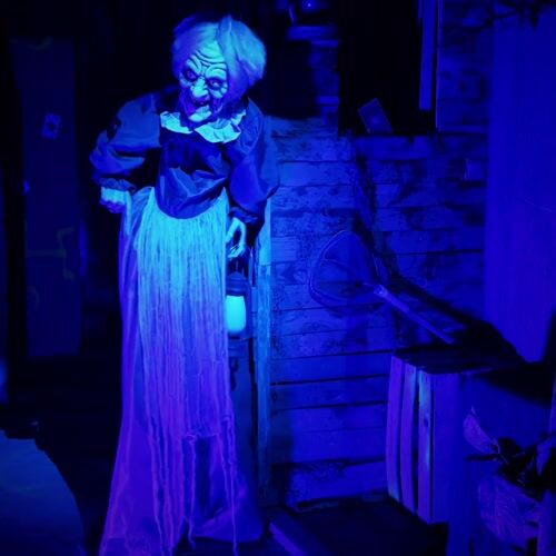 Haunted Hill Farm HHLADY-8FLSA - 12