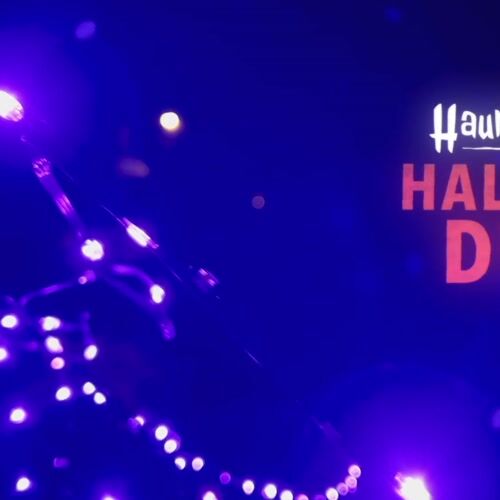 Haunted Hill Farm FFHELED043-RIP0-PUR - 9