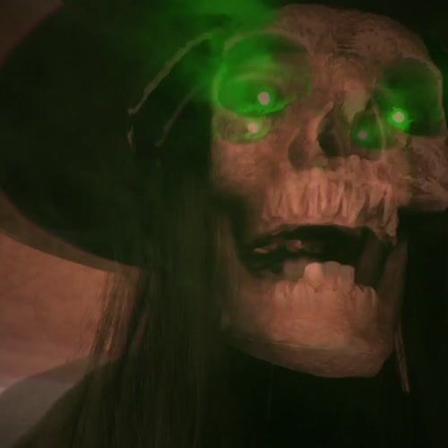 Haunted Hill Farm HHMCWITCH-1FLSA - 12