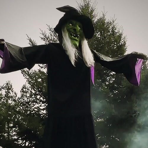 Haunted Hill Farm HHWITCH-48FLSA - 12