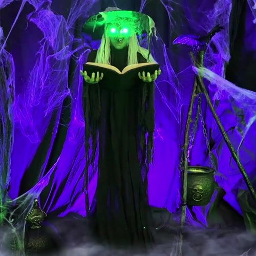 Haunted Hill Farm HHWITCH-9FLS - 15